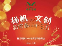 年终会：记2015年终总结大会暨2016年计划会议