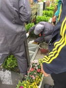 【CC网投人别样清明】2018年清明落葬工作圆满完成