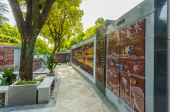 绿色殡葬新风尚：探索葬式多样化的创新之路