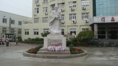 石雕匠心，镌刻医者风华