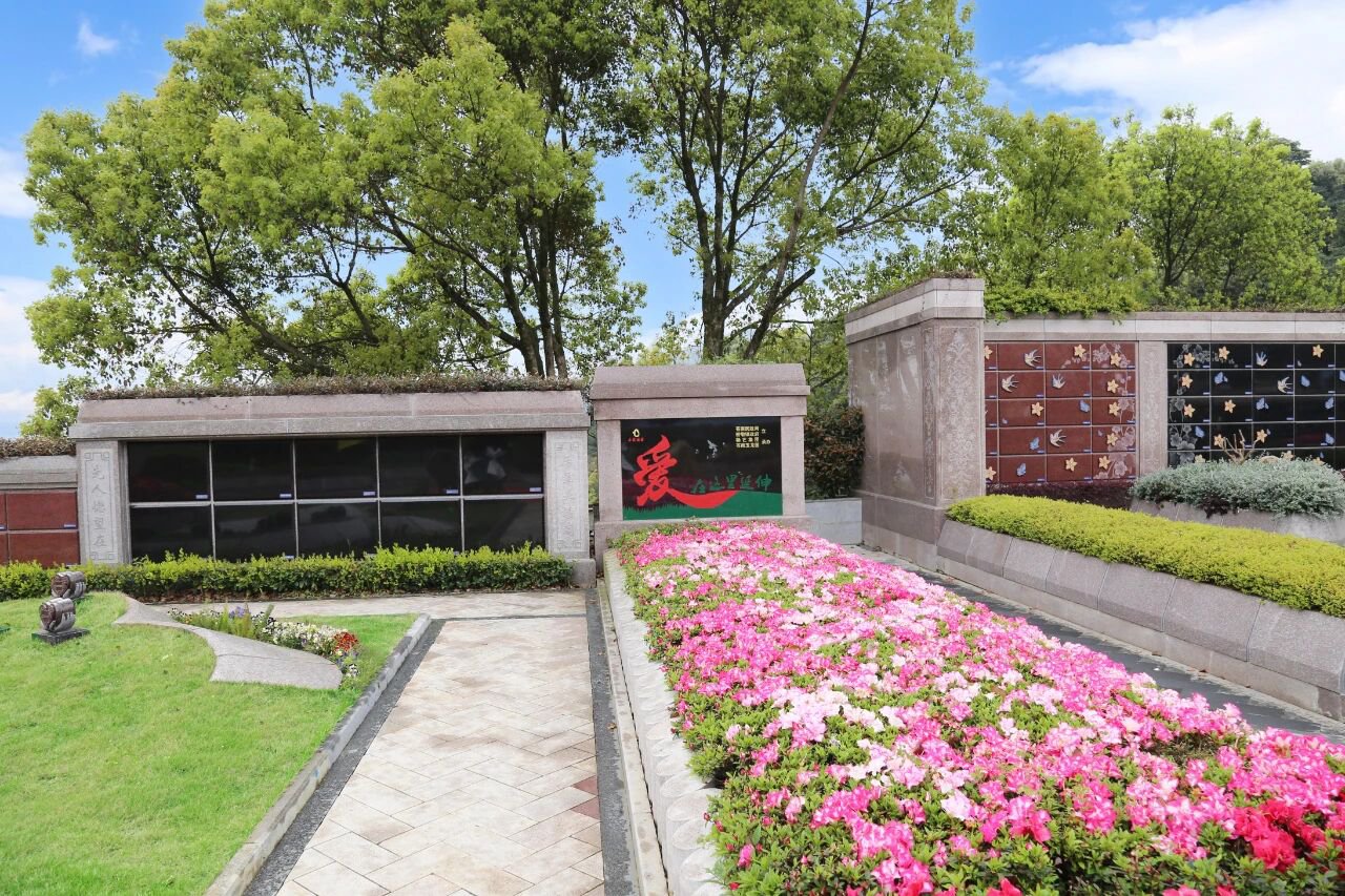 当纪念，开始生长