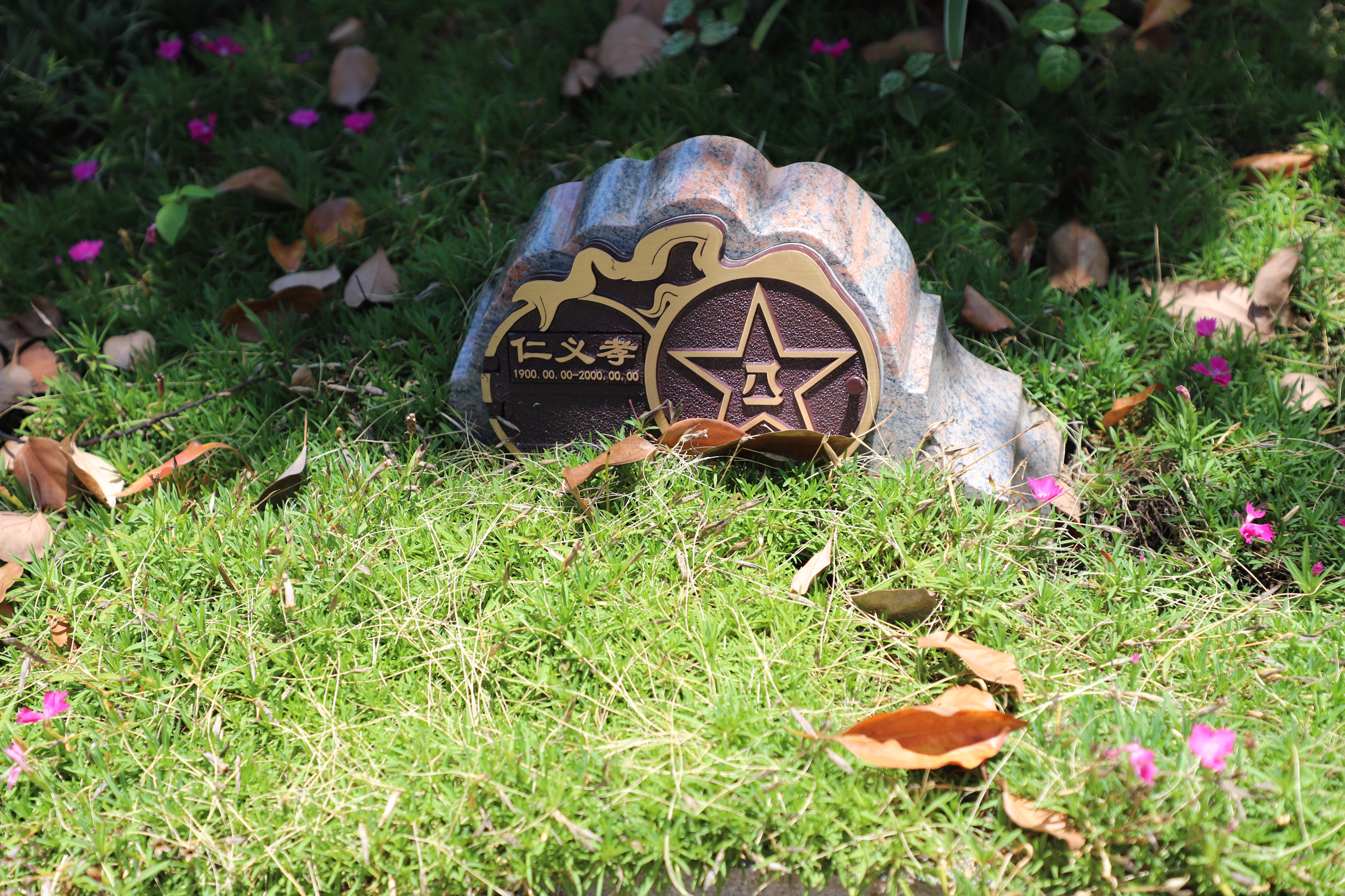 尘归尘，土归土：当生命终与自然相融