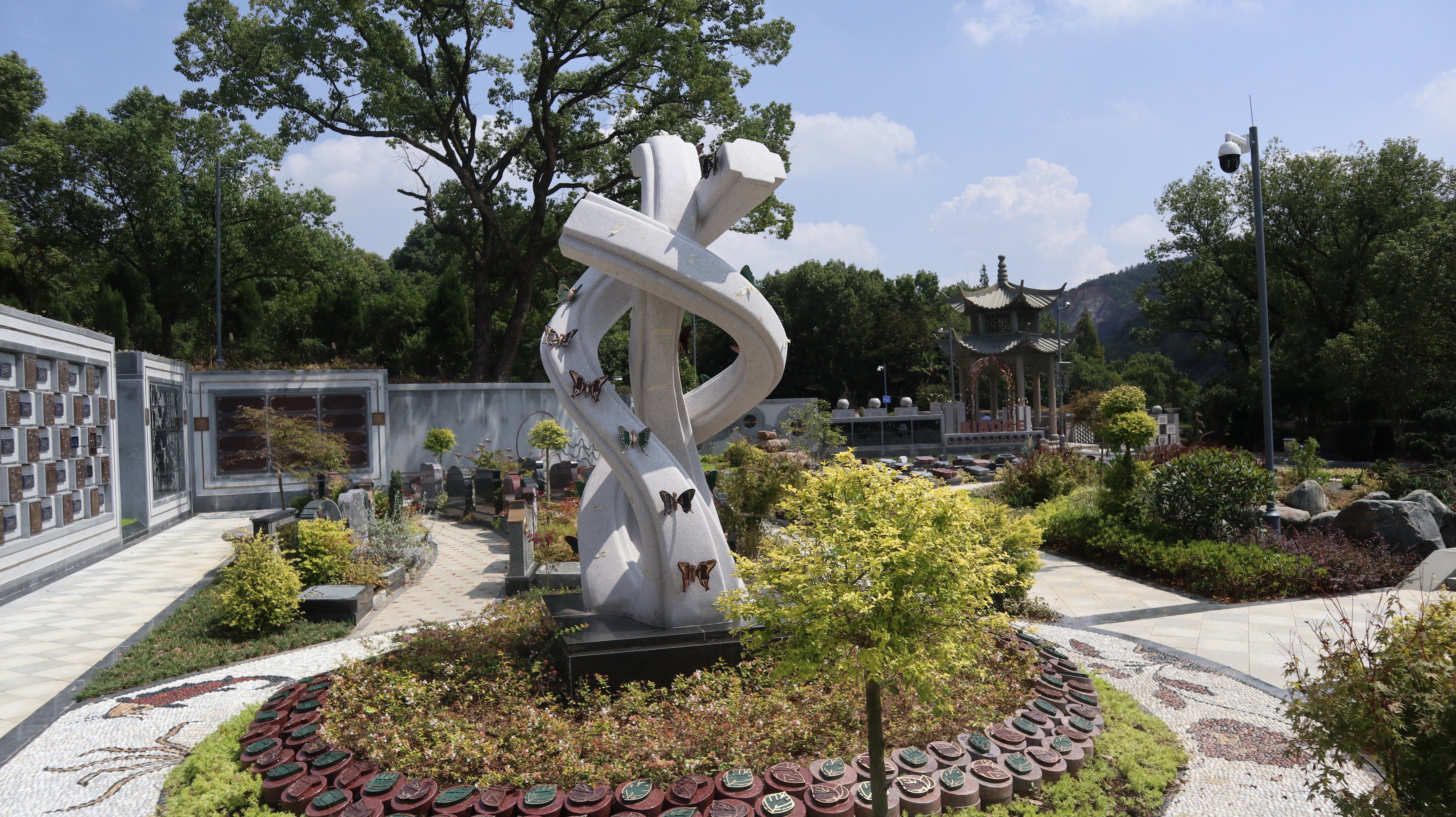 节地亦诗意！CC网投葬式创新助力绿色殡葬发展