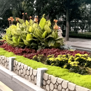 无机仿真石花箱：以永恒之名，塑未来之境