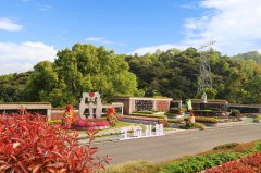 城市角落的星河：当墓园成为生命的另一种花园